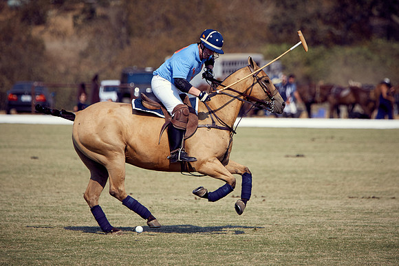 Oyster Cup Polo tournament