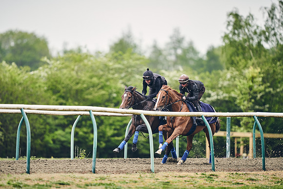 NEWMARKET-GALLOPS-25th-APRIL-DJ-0087