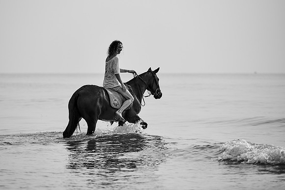 _DSC1583.ARW