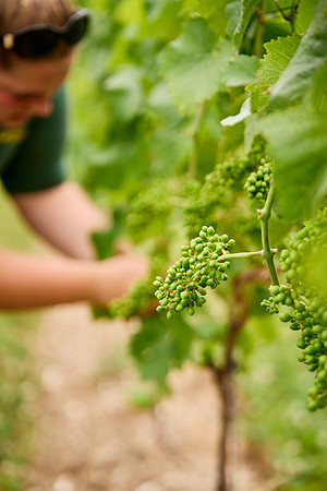 2025-07-09-Dominic-James-00237