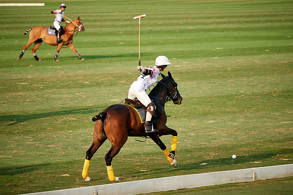 THAI-PINK-POLO-2019_DJ_3238