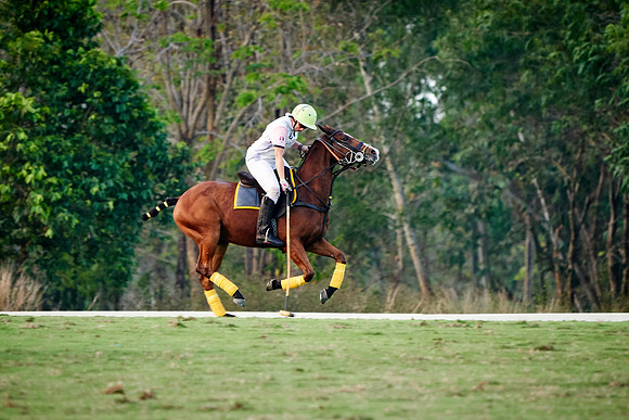 THAI-PINK-POLO-2019_DJ_5646