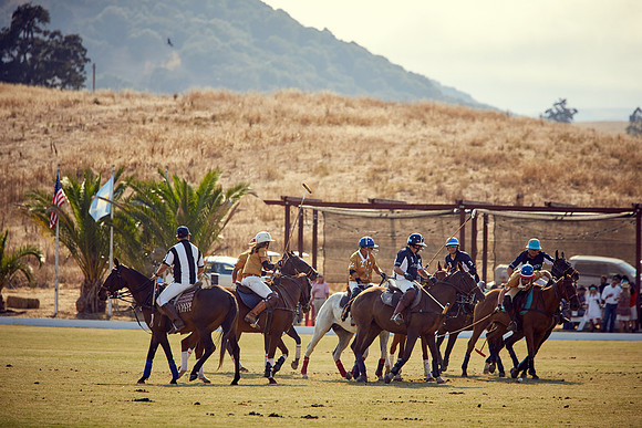 Oyster Cup Polo tournament