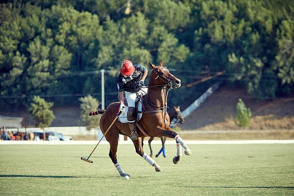 Oyster Cup Polo tournament
