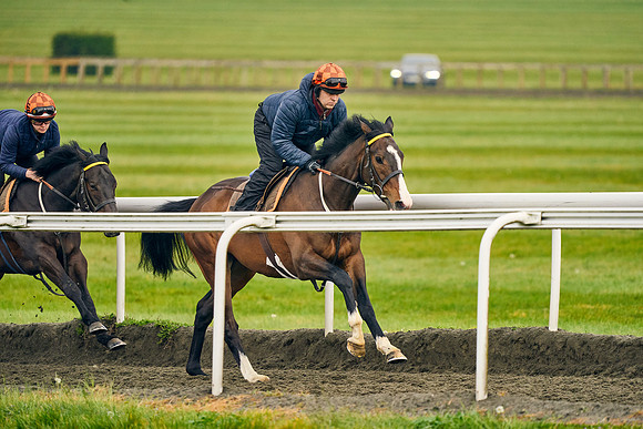 2022-05-05-Dominic-James-3478