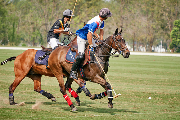 THAI-POLO-OPEN-2020-01-17-Dominic-James_DJ98218.ARW2568