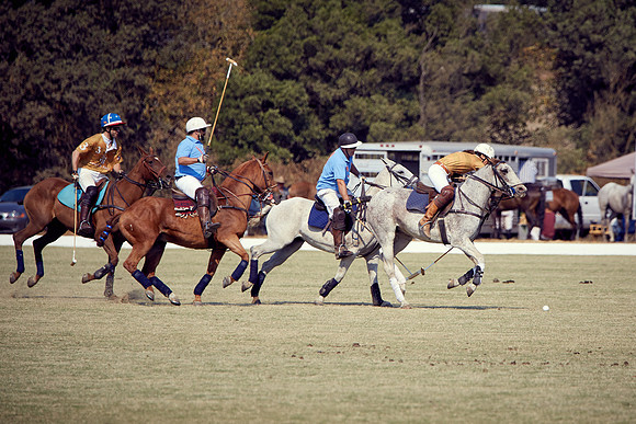 Oyster Cup Polo tournament