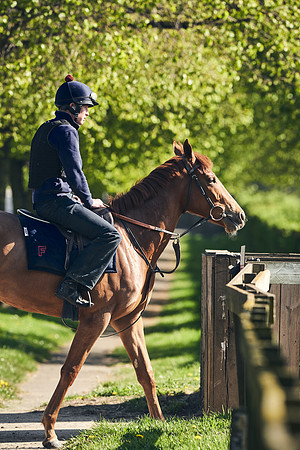 NEWMARKET-GALLOPS-22nd-APRIL-DJ-3835
