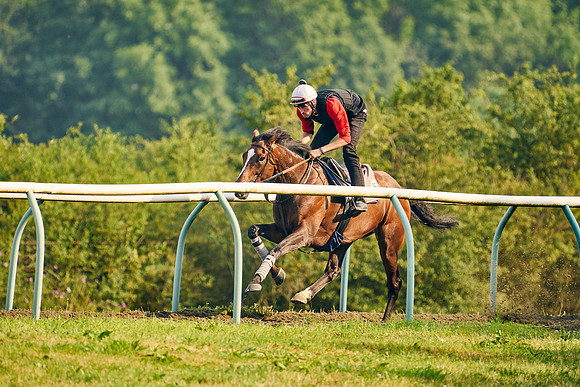 2021-07-21-Dominic-James-0662