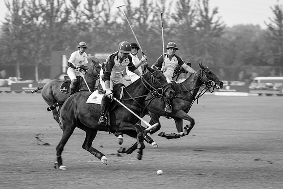 Royal Salute Gold Cup 2012 China Polo Open Tournament