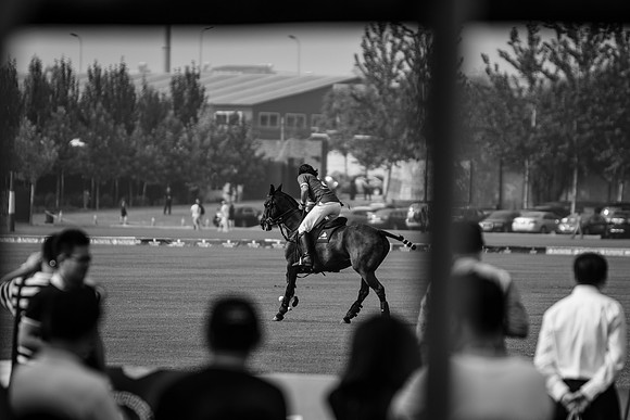 Royal Salute Gold Cup 2012 China Polo Open Tournament
