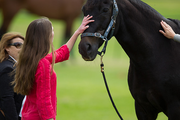 20140517-Dominic-James-SRIC-2014-AG3A8750.CR2