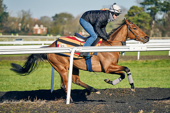 2022-02-26-Dominic-James-7347