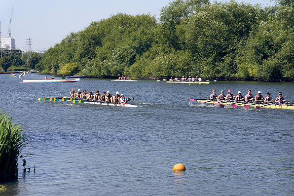 READING-TOWN-REGATTA_DJ_8565
