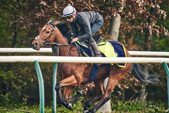 NEWMARKET-GALLOPS-24nd-APRIL-DJ-0452