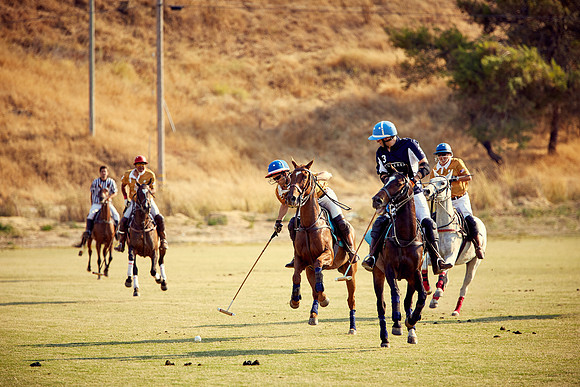 Oyster Cup Polo tournament