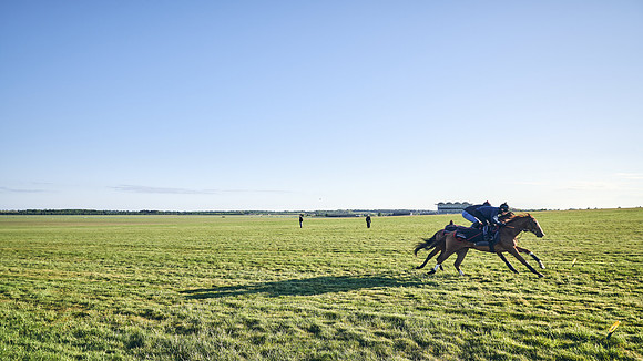 SUMMER GALLOPS-2nd-May-DJ-1047
