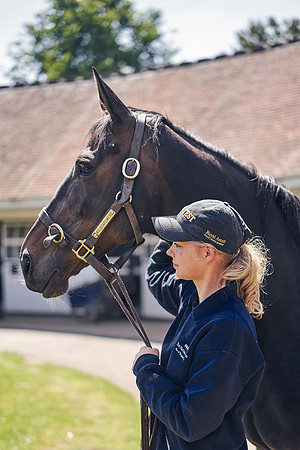 The-National-Stud-Dominic-James_DOM0421