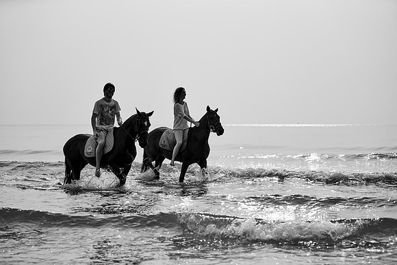 _DSC1603.ARW