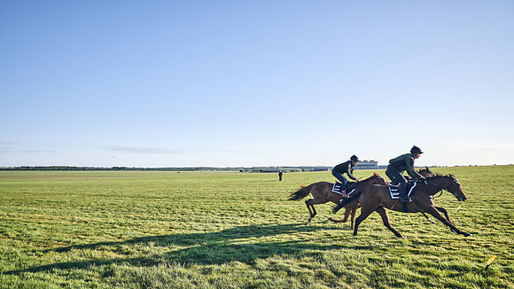 SUMMER GALLOPS-2nd-May-DJ-1167