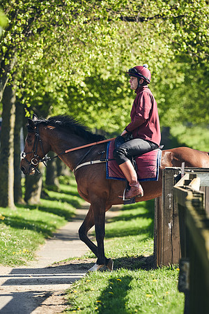 NEWMARKET-GALLOPS-22nd-APRIL-DJ-4027