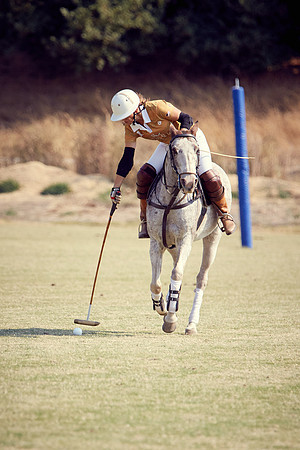 Oyster Cup Polo tournament