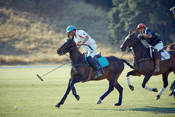 Oyster Cup Polo tournament