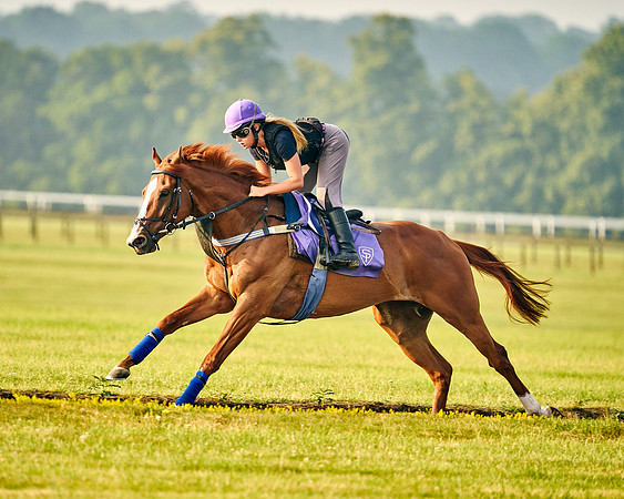 2021-07-21-Dominic-James-0455 2