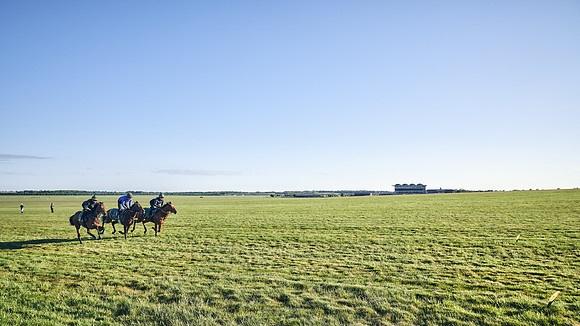 SUMMER GALLOPS-2nd-May-DJ-1329