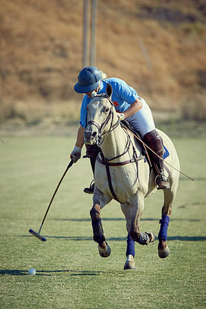 Oyster Cup Polo tournament
