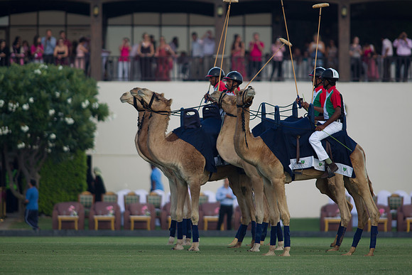 Polo Match at Ghantoot Polo Club - St. Regis vs ADCB for the Pink Polo Day charity