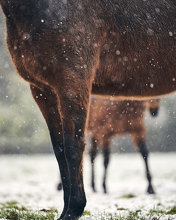 NATIONAL-STUD-27th-FEB-DJ-_DJ94858.ARW-6012