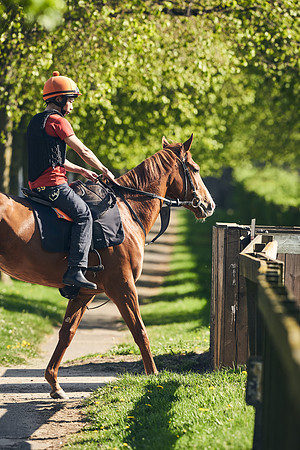 NEWMARKET-GALLOPS-22nd-APRIL-DJ-3993