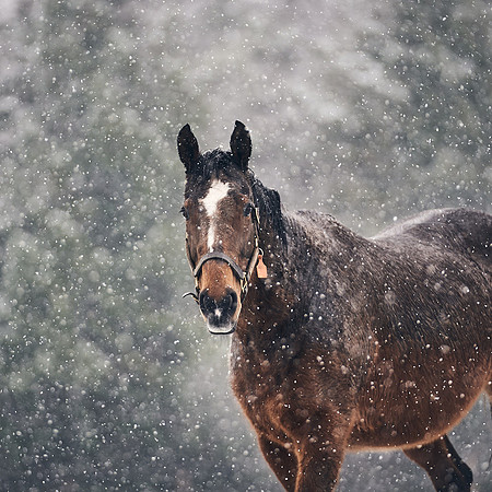 NATIONAL-STUD-27th-FEB-DJ-_DJ94767.ARW-5921
