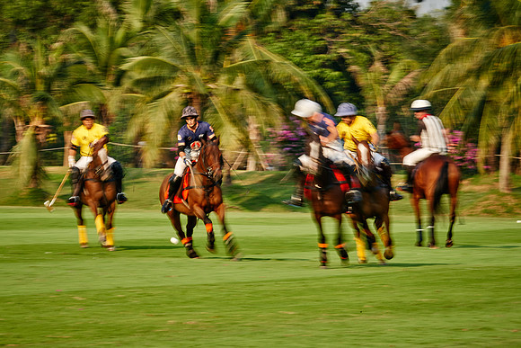 THAI-POLO-OPEN-2019_DJ_0593