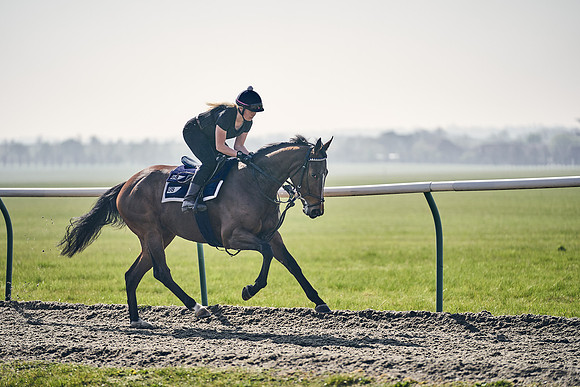 GEORGE-BOUGHEY-RACING-DJ-3409