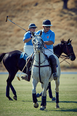Oyster Cup Polo tournament