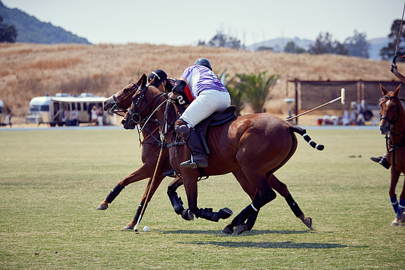 Oyster Cup Polo tournament