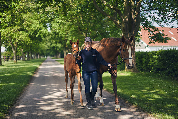 The-National-Stud-Dominic-James_DOM9680