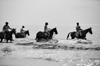 _DSC2735.ARW