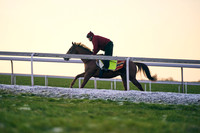 5th Jan 22 Warren Hill 001