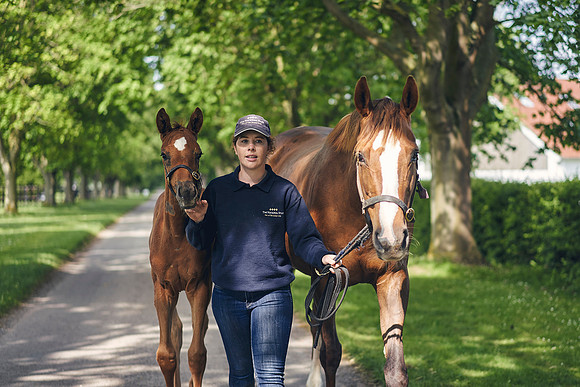 The-National-Stud-Dominic-James_DOM9683