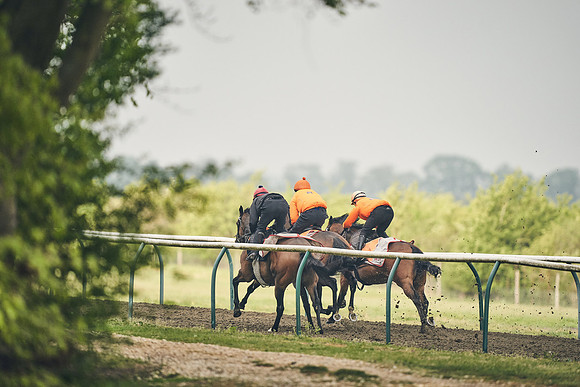 NEWMARKET-GALLOPS-24nd-APRIL-DJ-0664