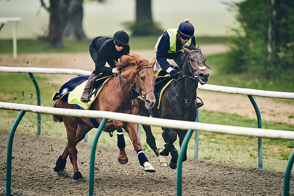 NEWMARKET-GALLOPS-24nd-APRIL-DJ-0249