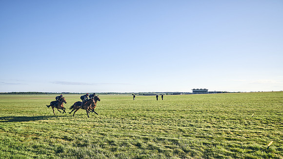 SUMMER GALLOPS-2nd-May-DJ-1107