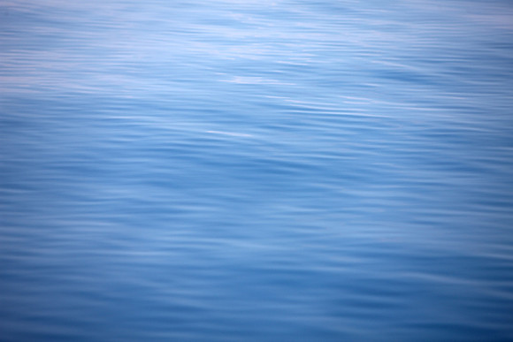 344C8839