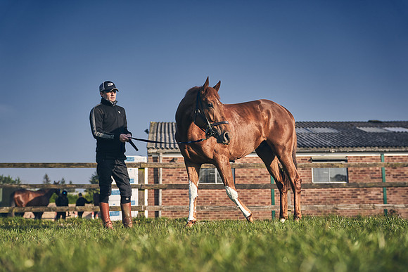 GEORGE-BOUGHEY-RACING-DJ-1106