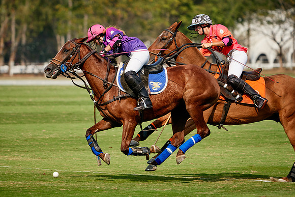 THAI-PINK-POLO-2020-Dominic-James_DJ98902.ARW3028