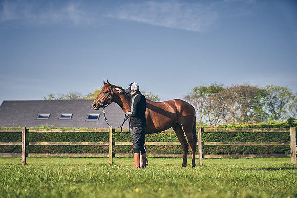 GEORGE-BOUGHEY-RACING-DJ-1173