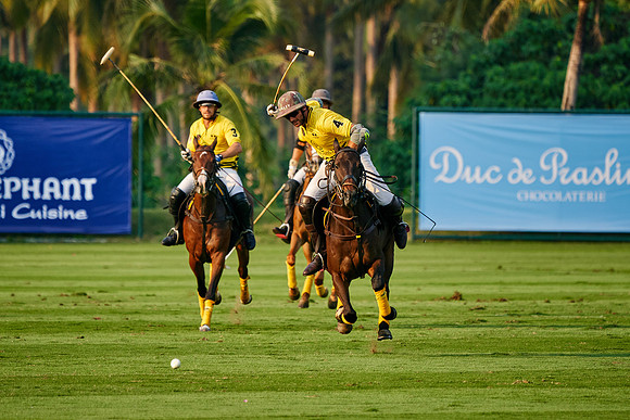THAI-POLO-OPEN-2019_DJ_0882